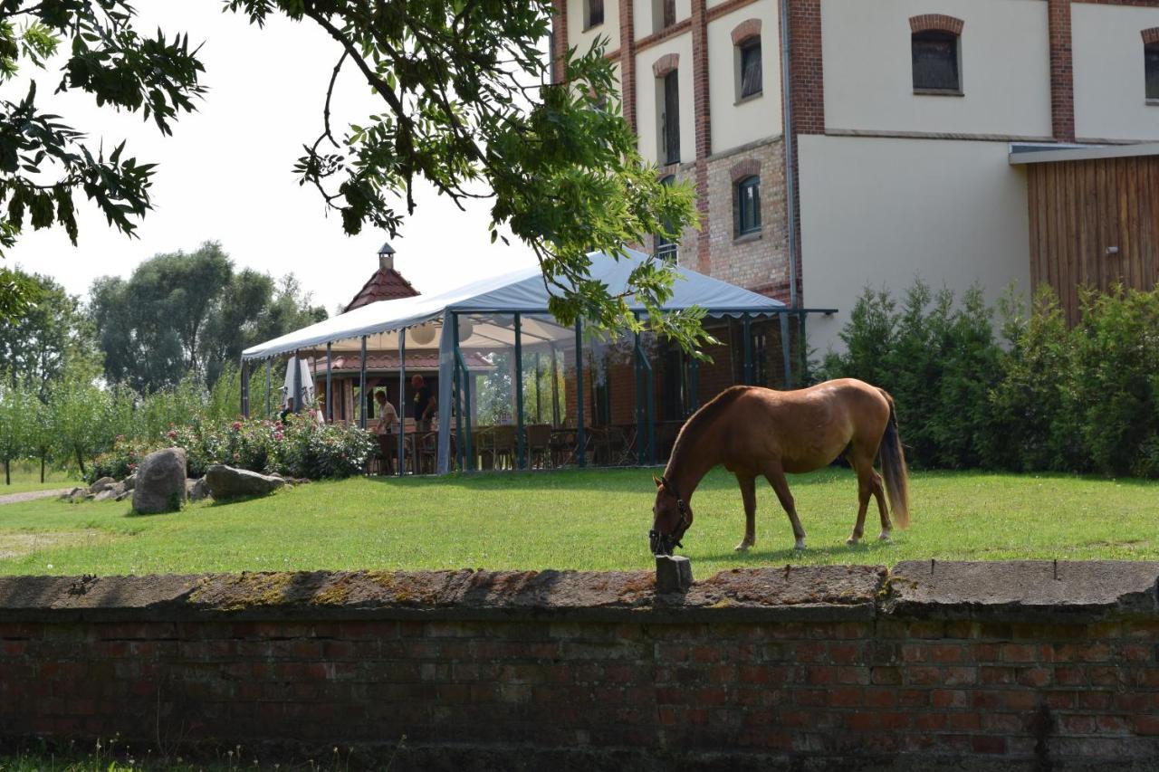 Ferienanlage Gutshaus Gramkow Luaran gambar